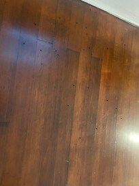 main bedroom floor, dead flies