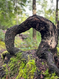 A little landmark in the William Walker Trail, near to the cottage. Worth the hike.
