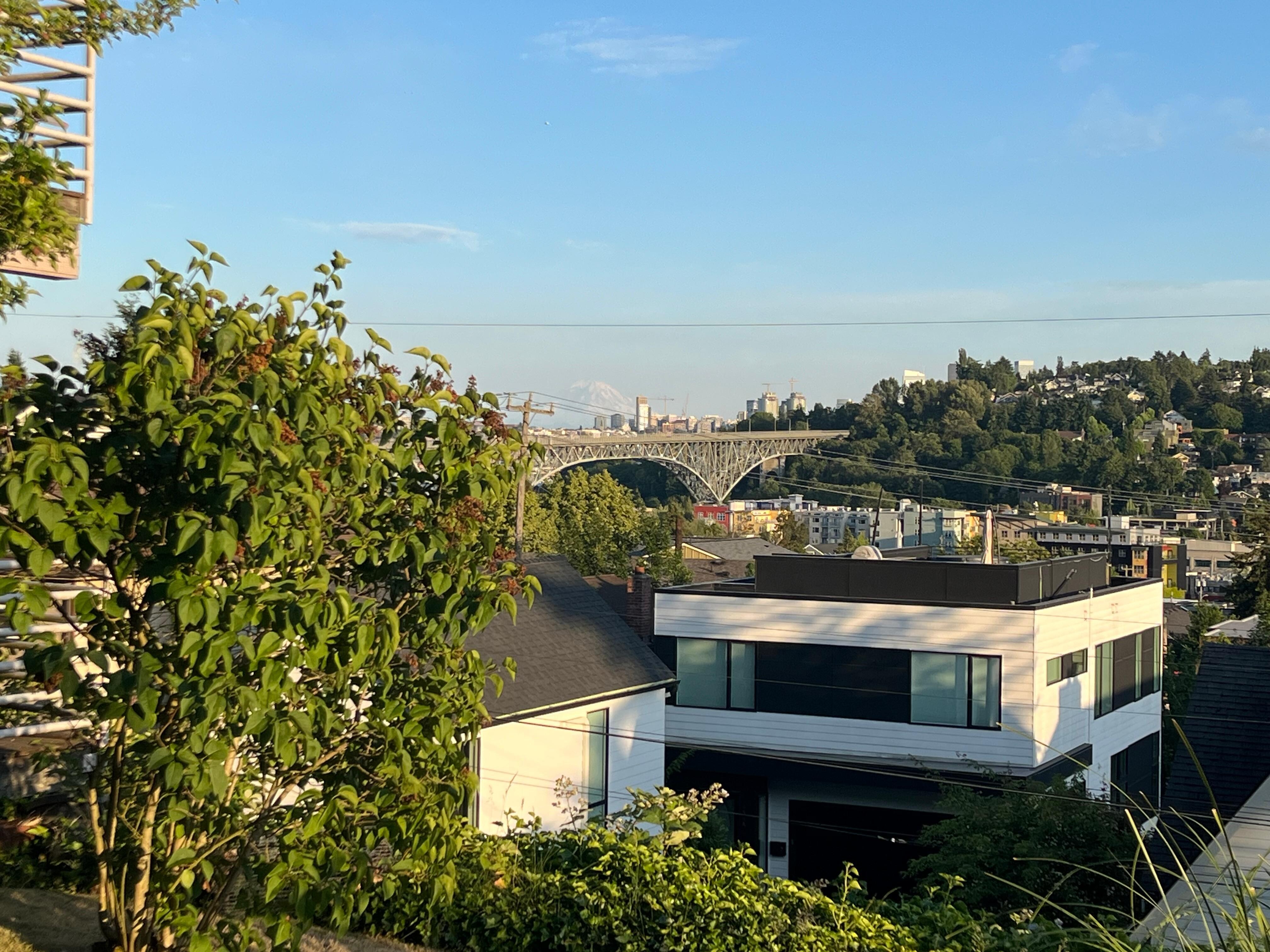 View from the patio