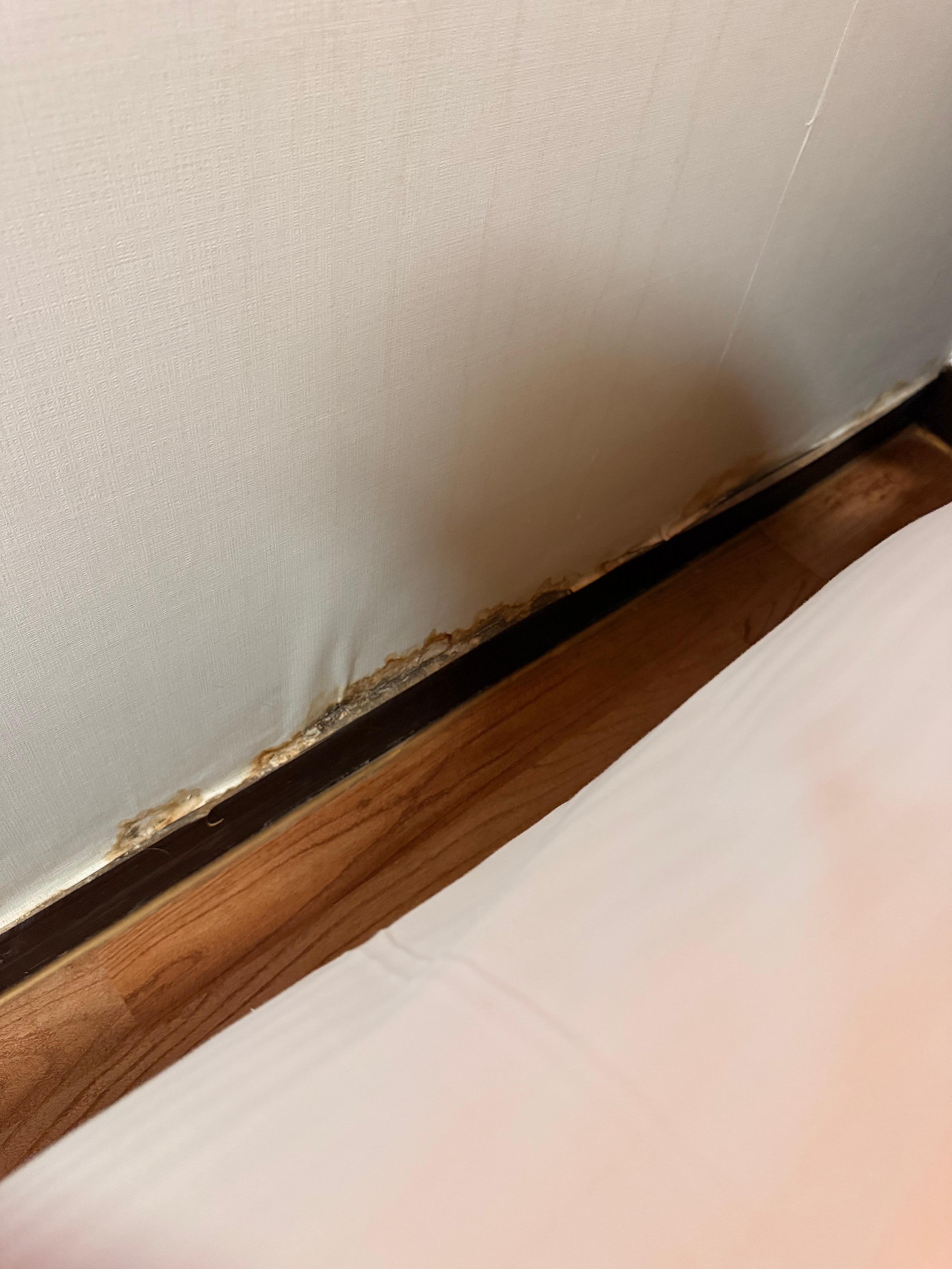Water damage and mold