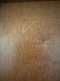 Roach