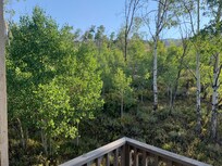 View from the back balcony.