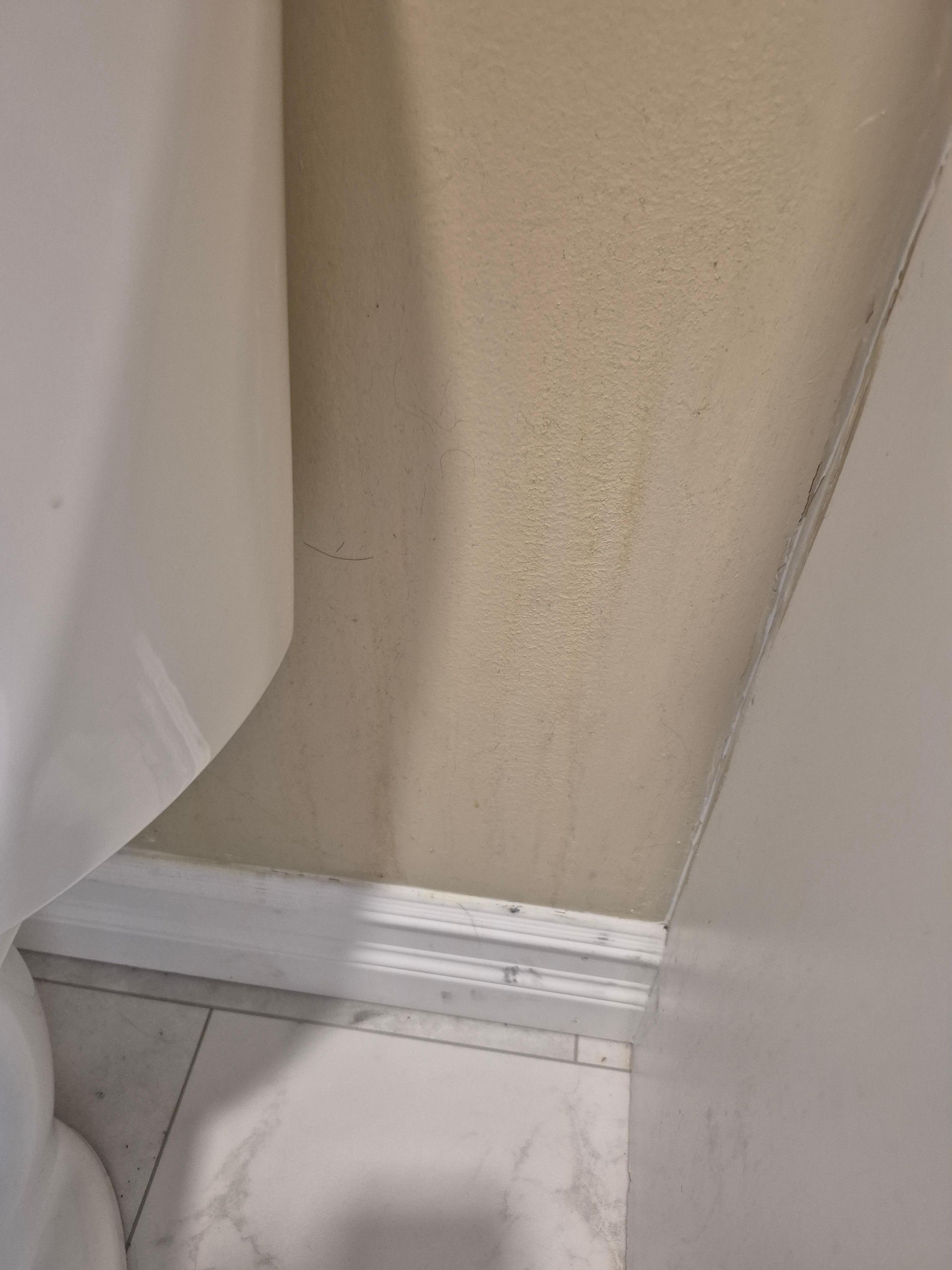 Dirty wall behind toilet
