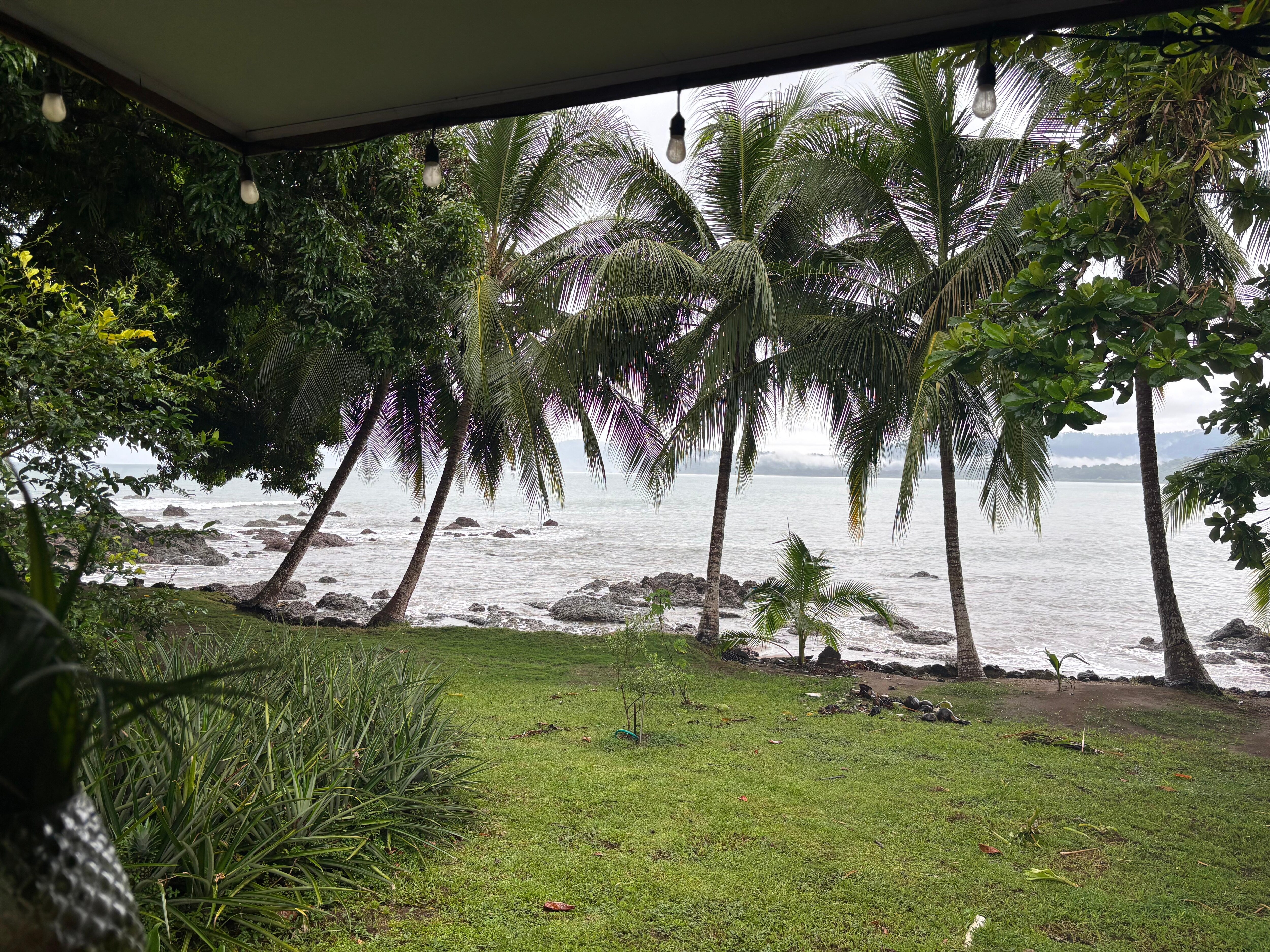 View of the beach. Careful of riptide