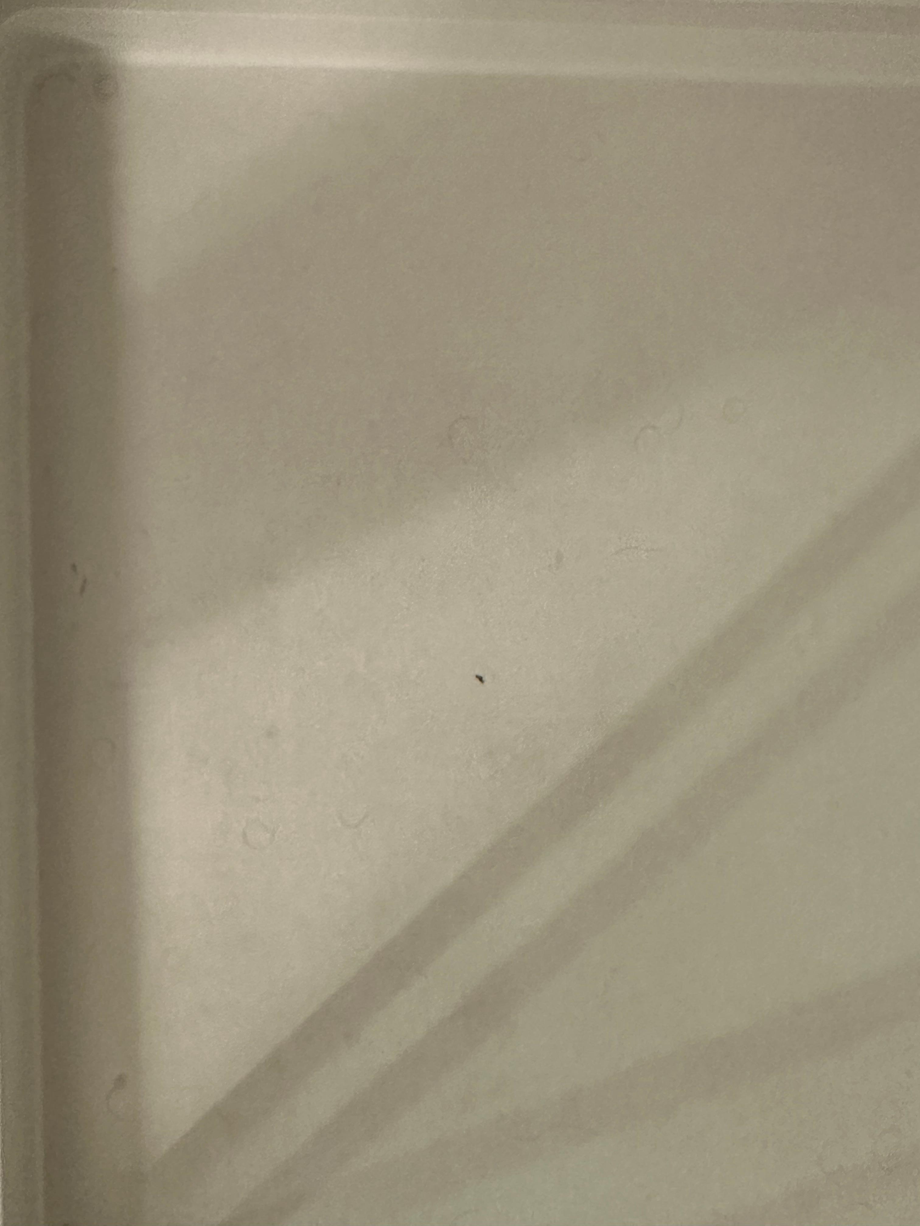 Shower. Same as above 