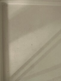 Shower. Same as above