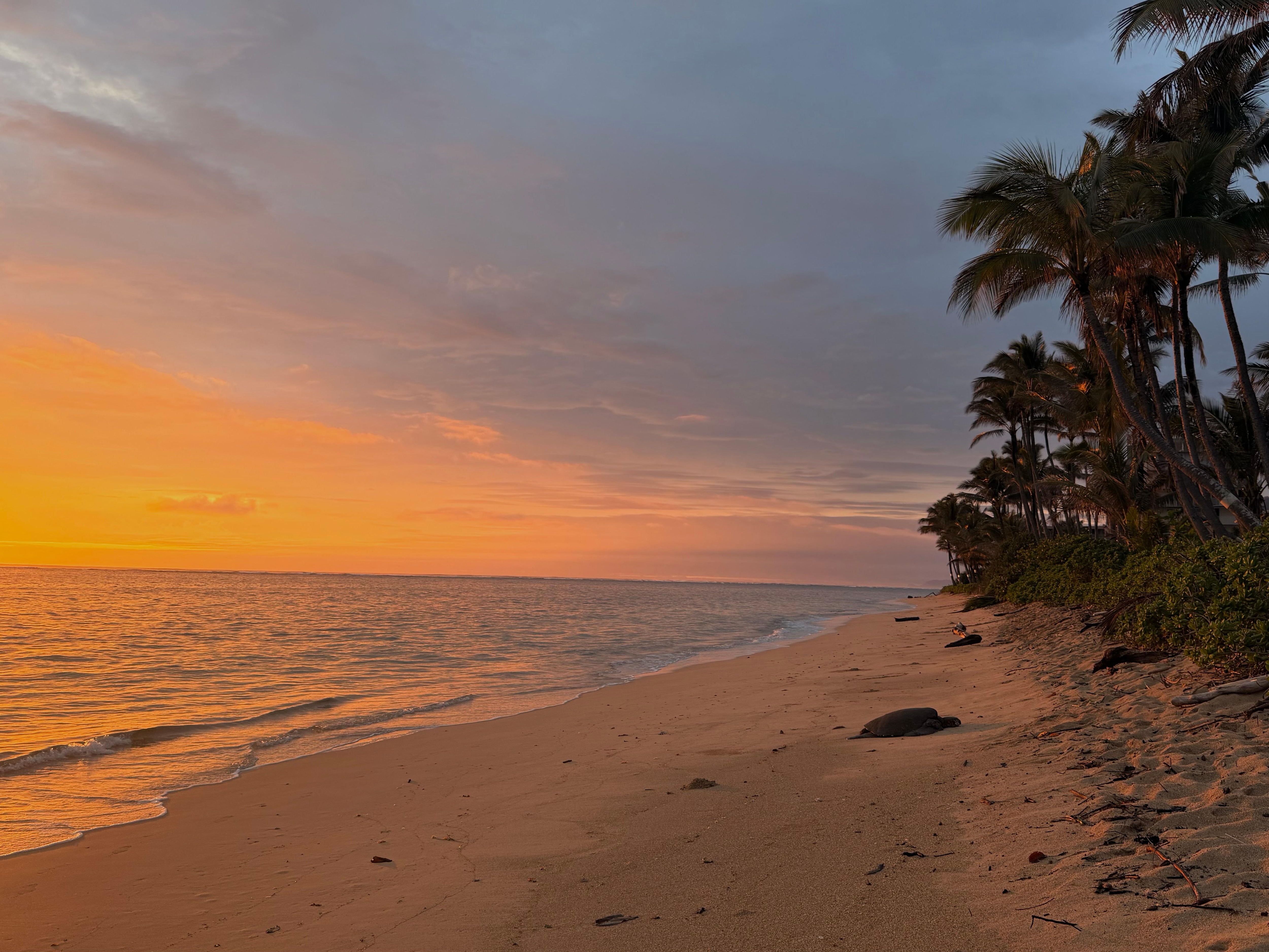 Morning after the 3rd Kona low storm 