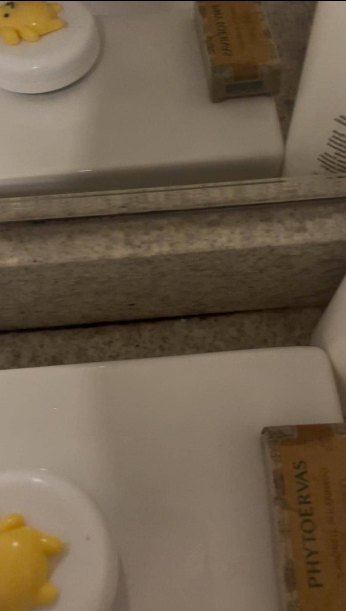 Mold in the sink