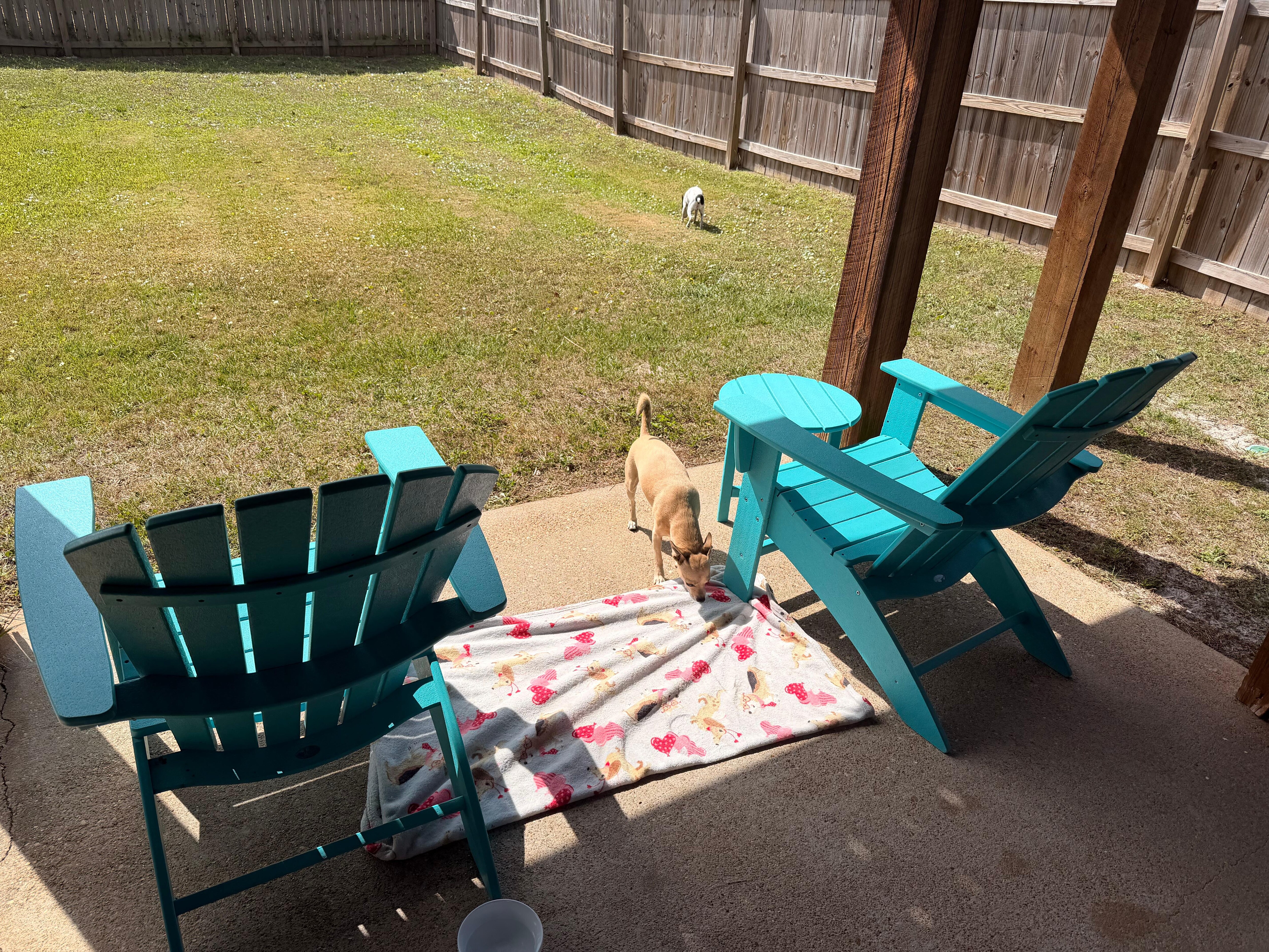 Cute little yard under the house. 