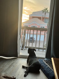 This was her all time favorite spot!