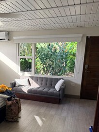 Window and door to backyard