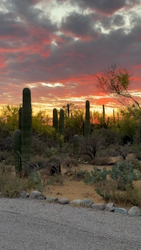Beautiful Sunsets