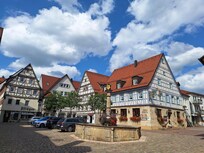 Münsingen Markt
