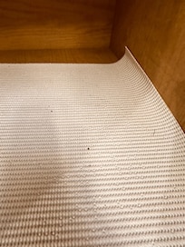 More rodent feces in the cupboards