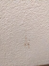 Reddish brown stain in the bathroom