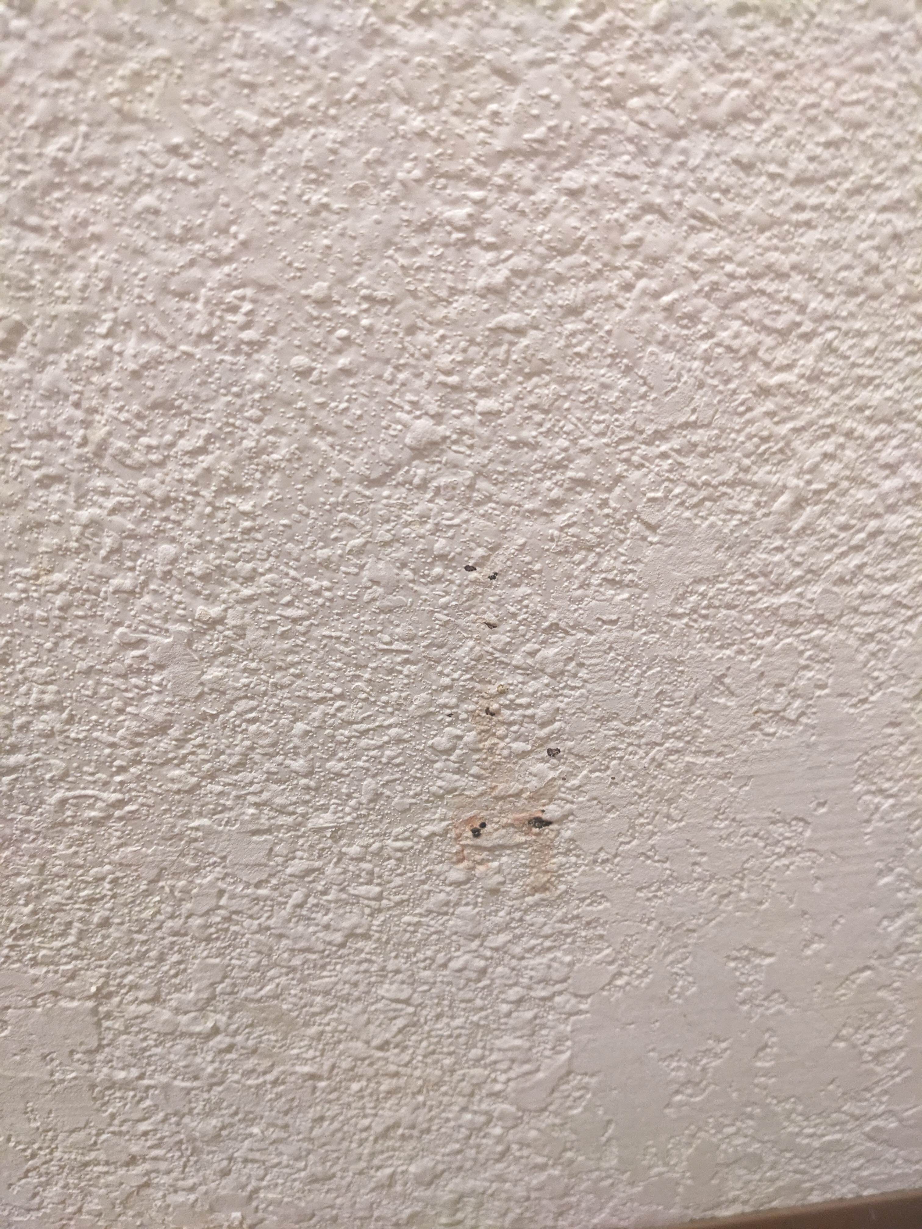 Reddish brown stain in the bathroom