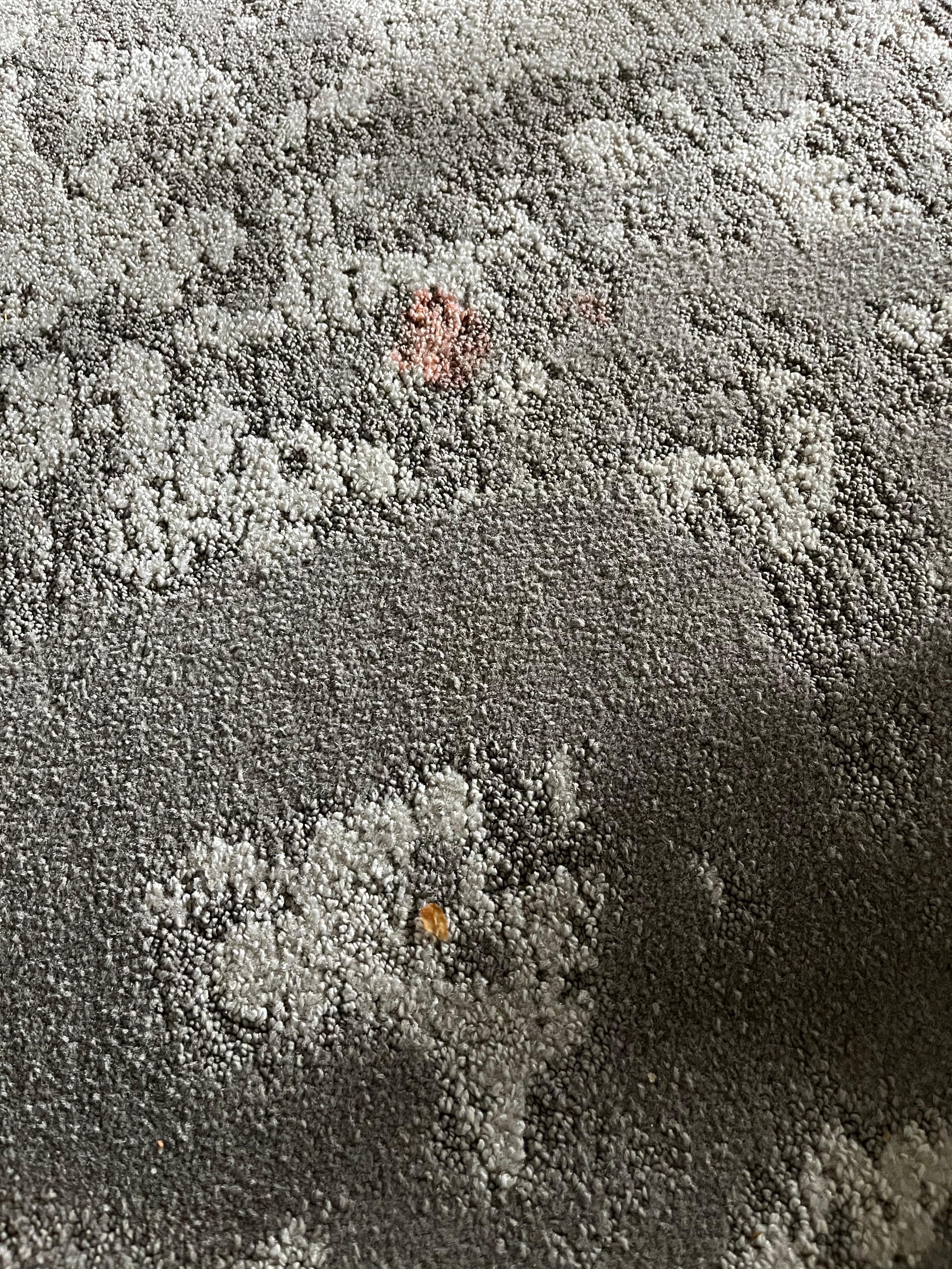 More stains