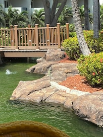 Watching the wildlife every morning at breakfast.