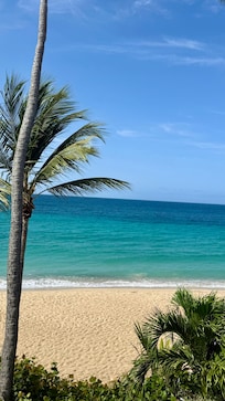 The beach
