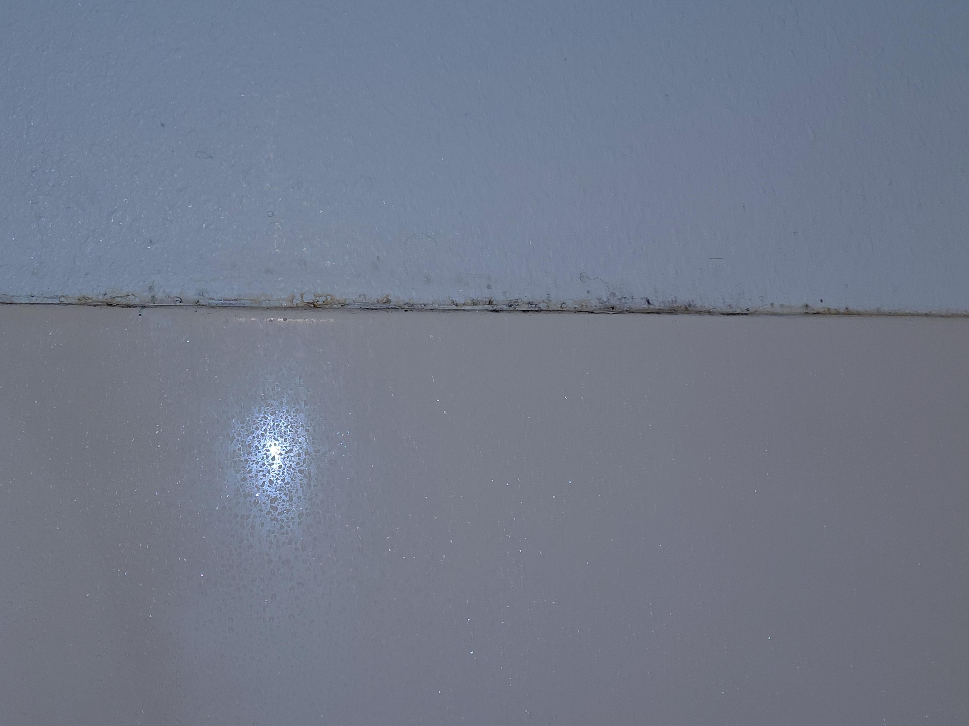 Mold in the shower(1)