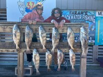 Went fishing with guide