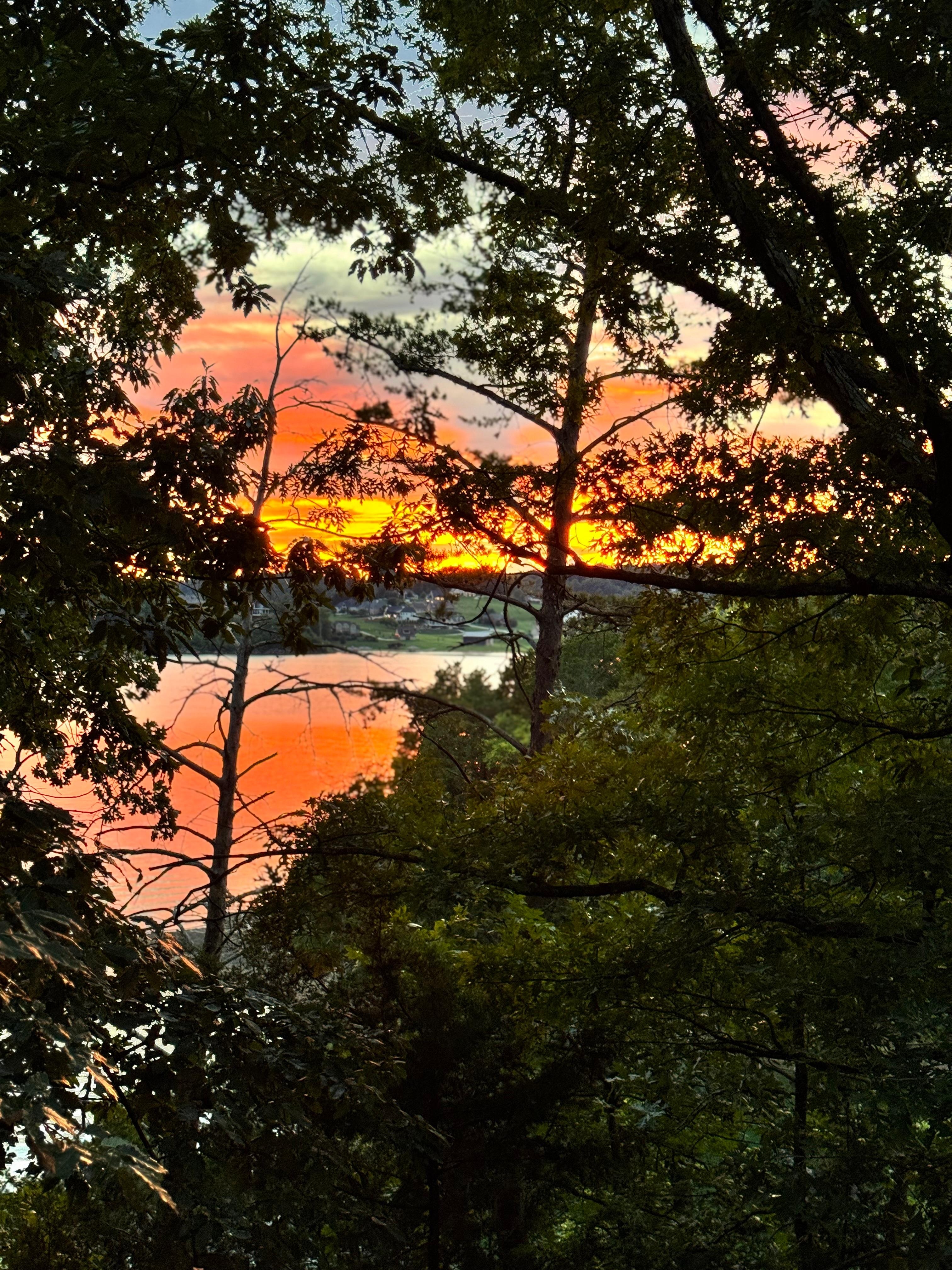 Beautiful sunset view from the cabin.