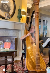 Super talented harpist played requests ranging from classical to Elvis to Led Zeppelin, providing a friendly and fun experience.