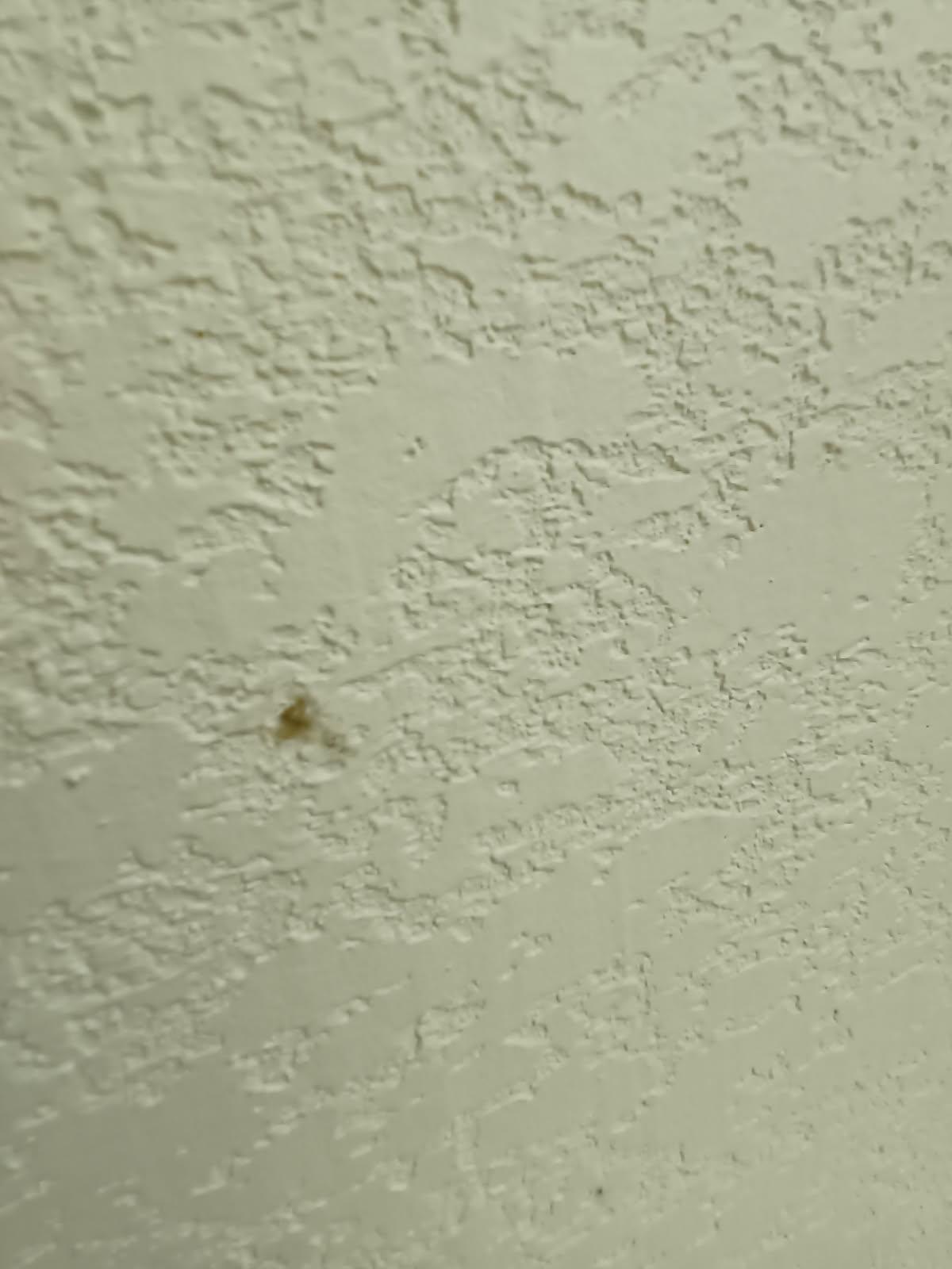 Booger on wall