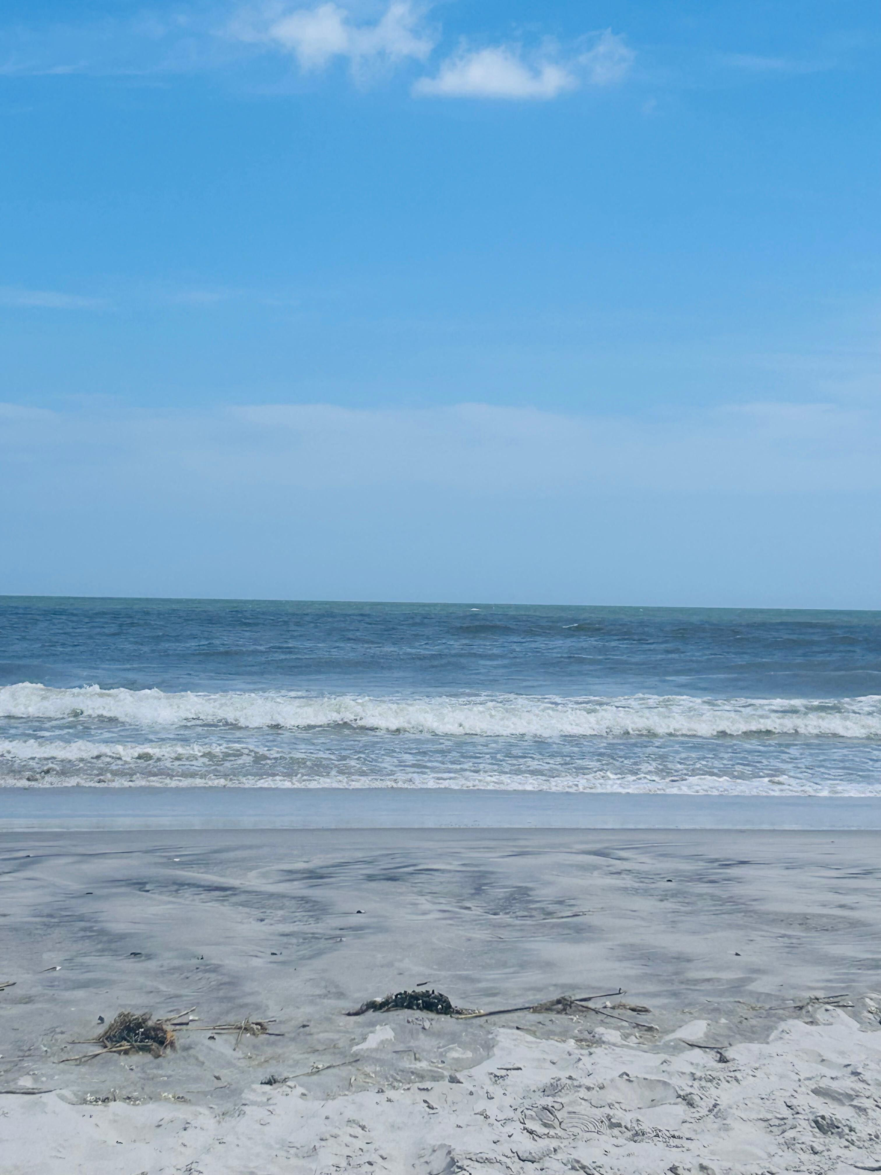 The beach. 