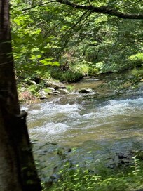 The river, beautiful, clear and nice and cold!