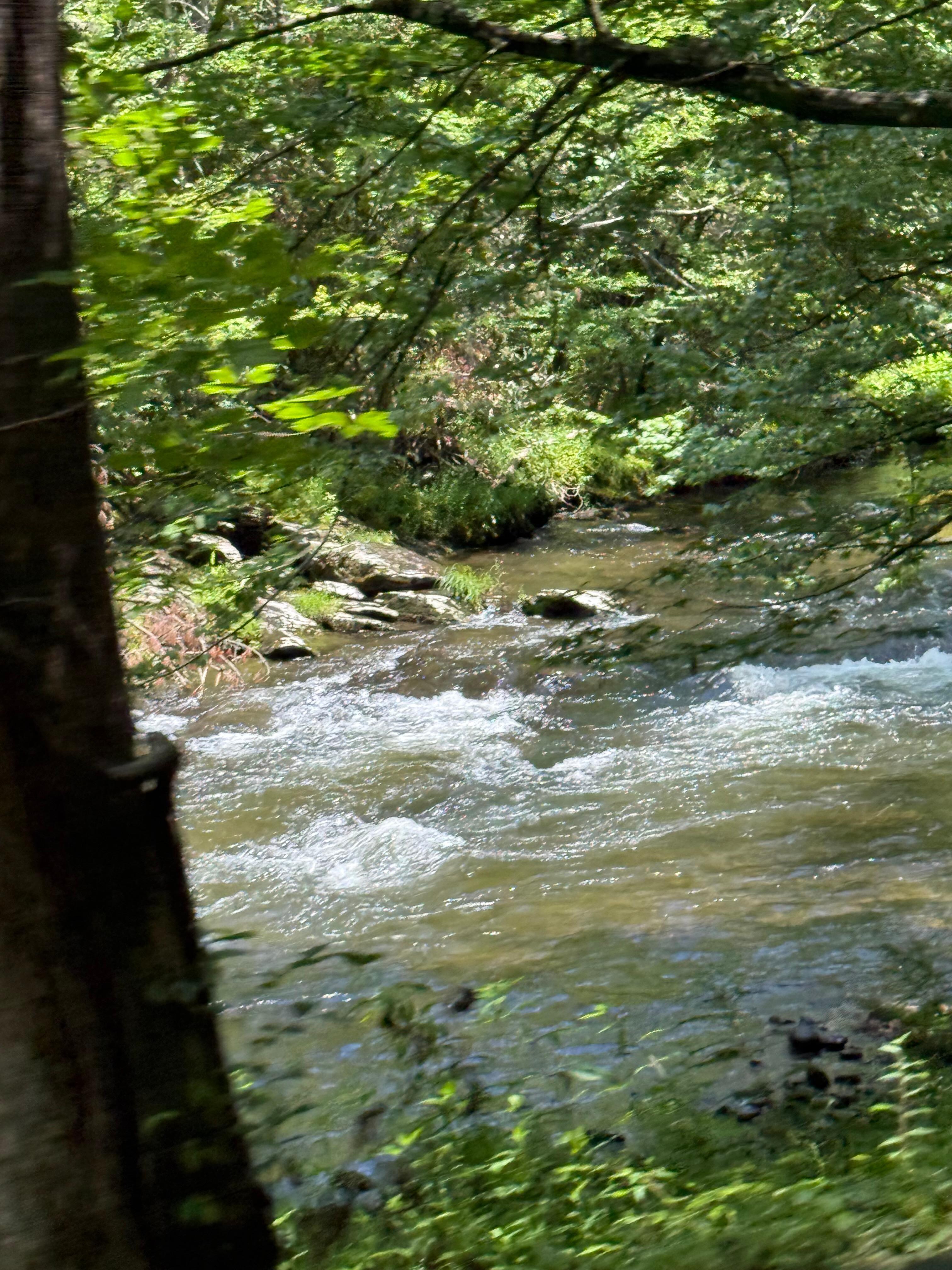 The river, beautiful, clear and nice and cold!