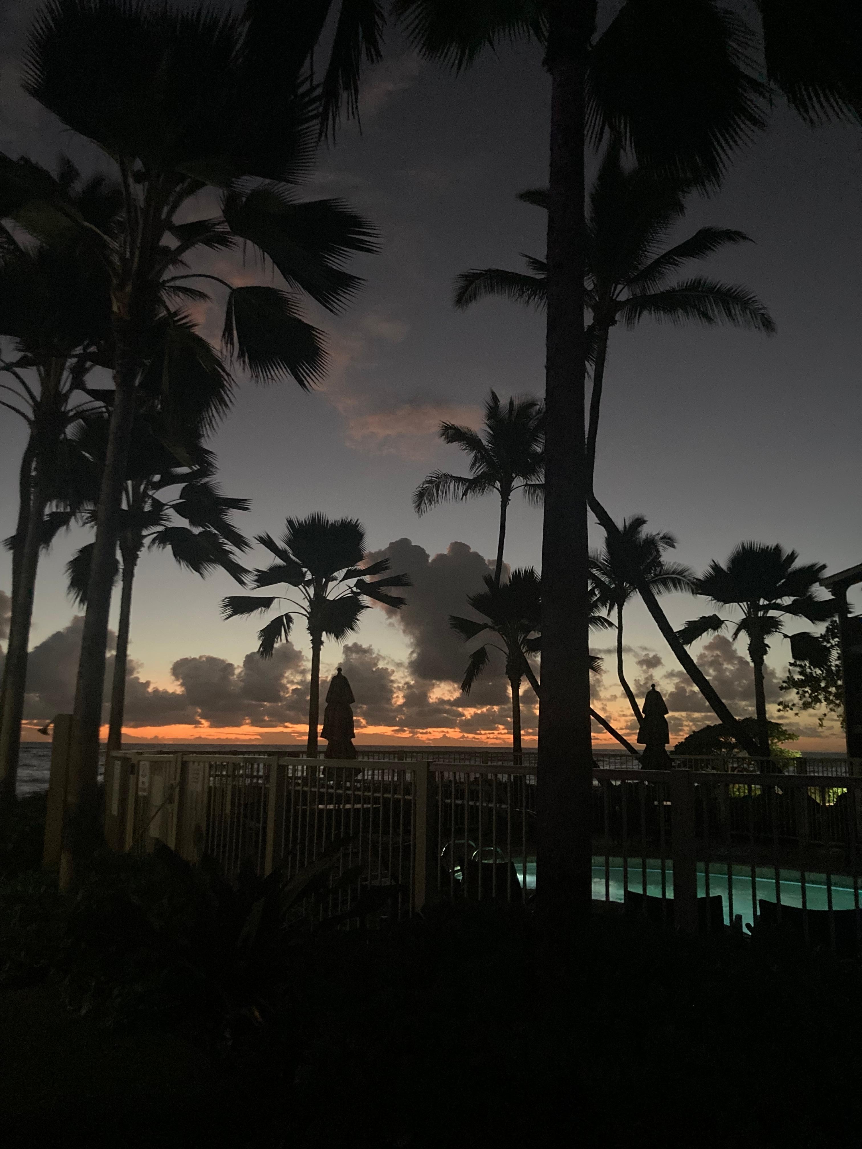 Sunrise from the patio.