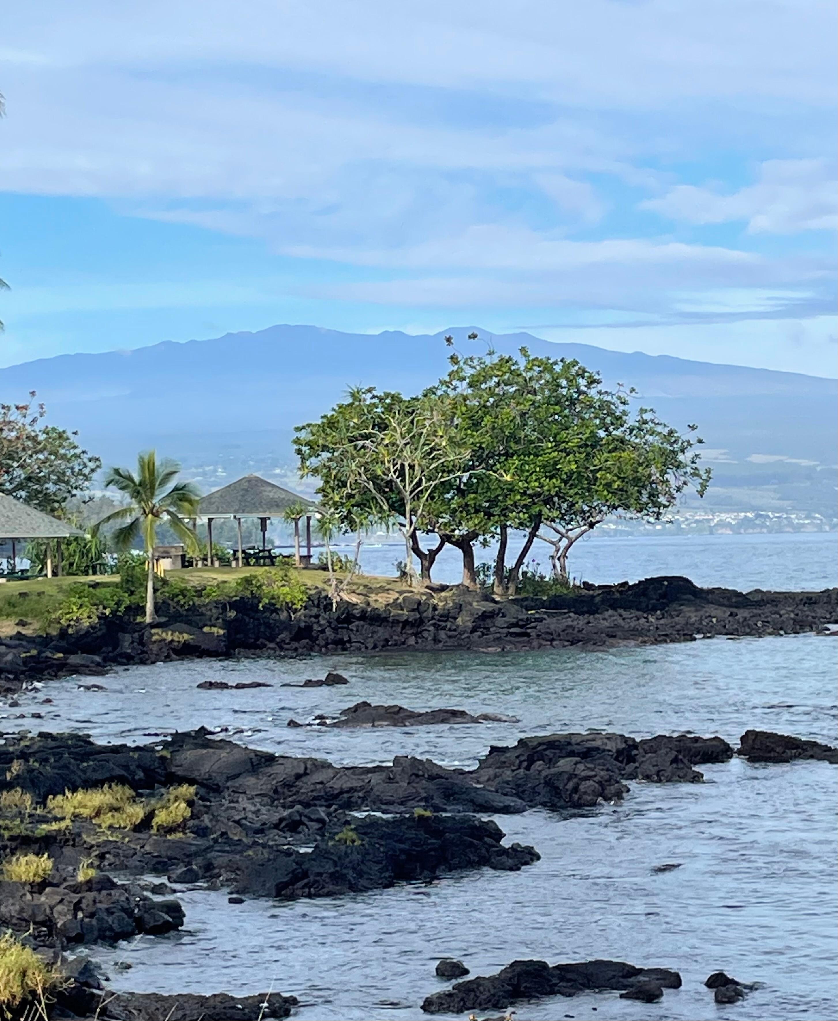 View of Mauna Kea   from steps away