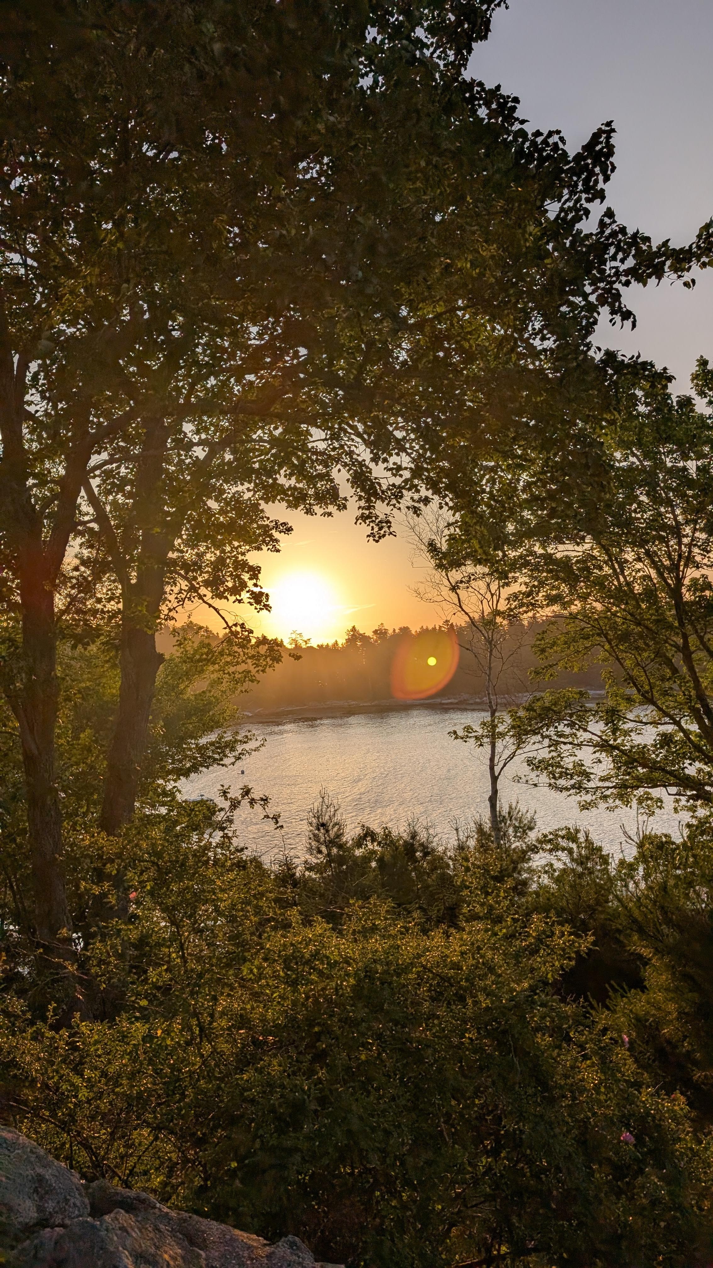 Sunrise from the front yard.