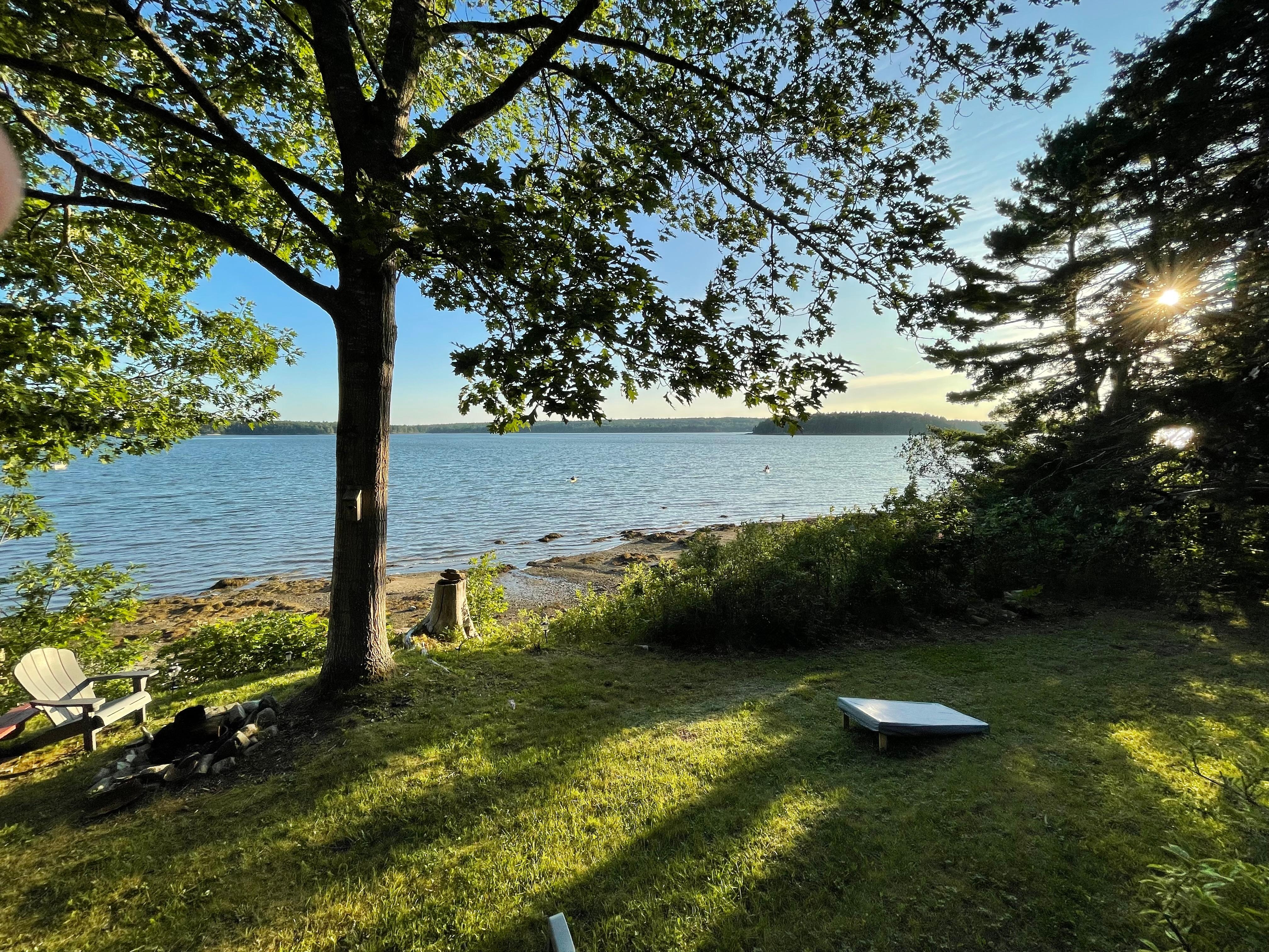 The back”yard” in all its splendor