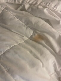 Makeup? Self tanner?