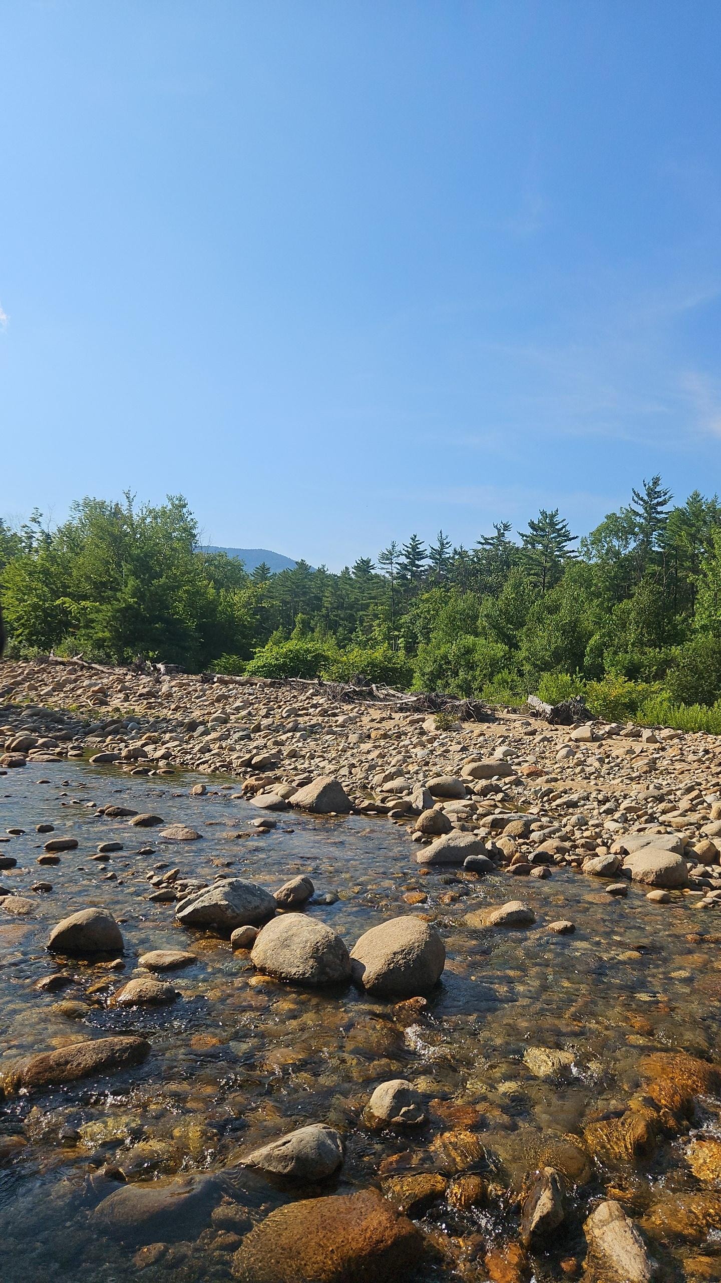 The river behind the condos