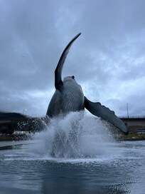 Water sprays onto and out of the whale at random intervals. I had to wait about 30 minutes to see the show but it was totally worth waiting to see.