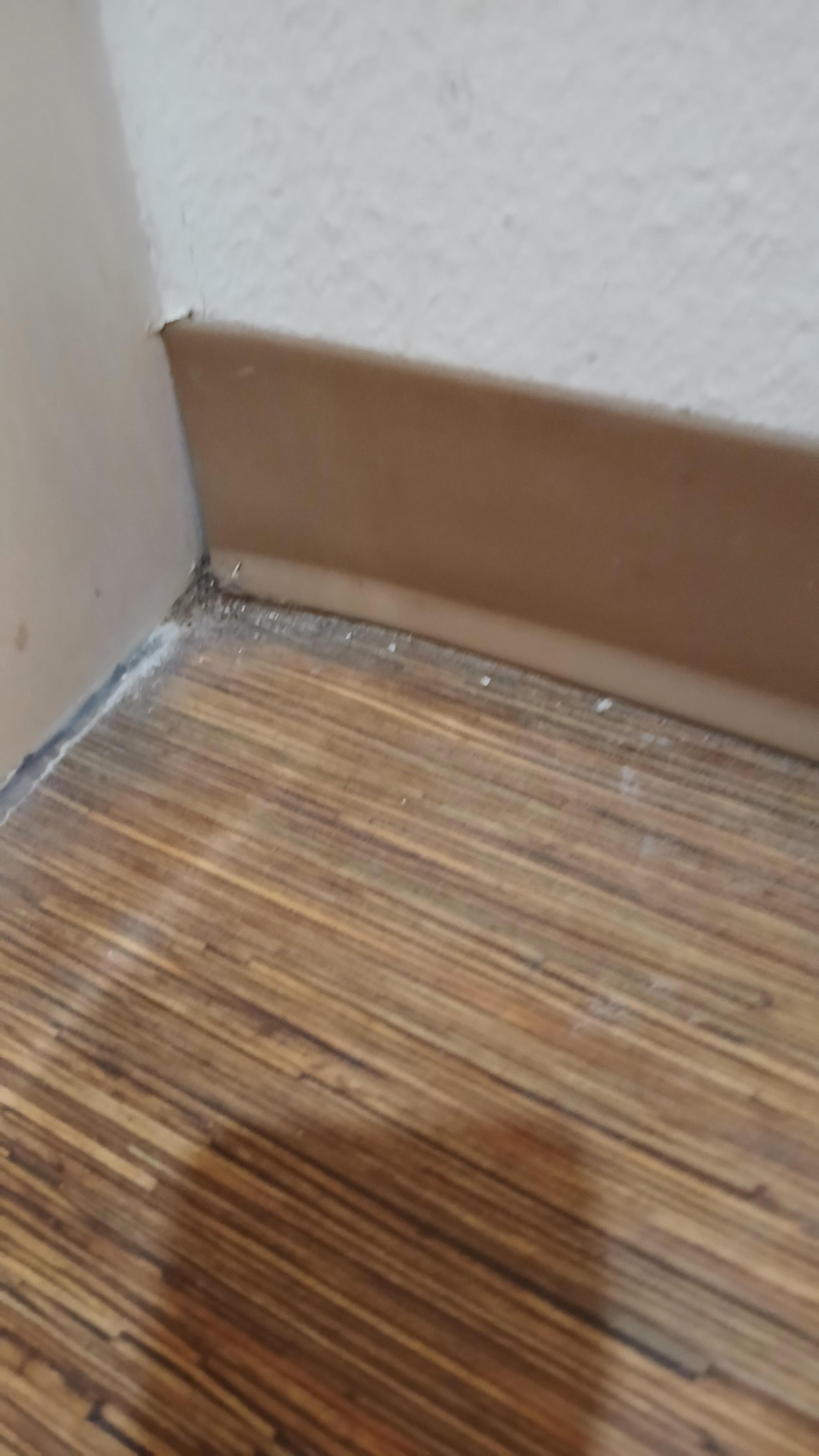 Dirt and grime inside sheer corner, filthy