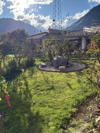 The garden