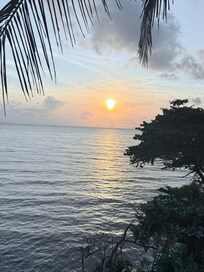 View from my bed