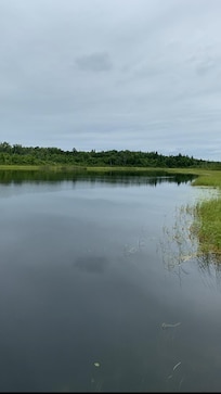 View of the lake from the dock