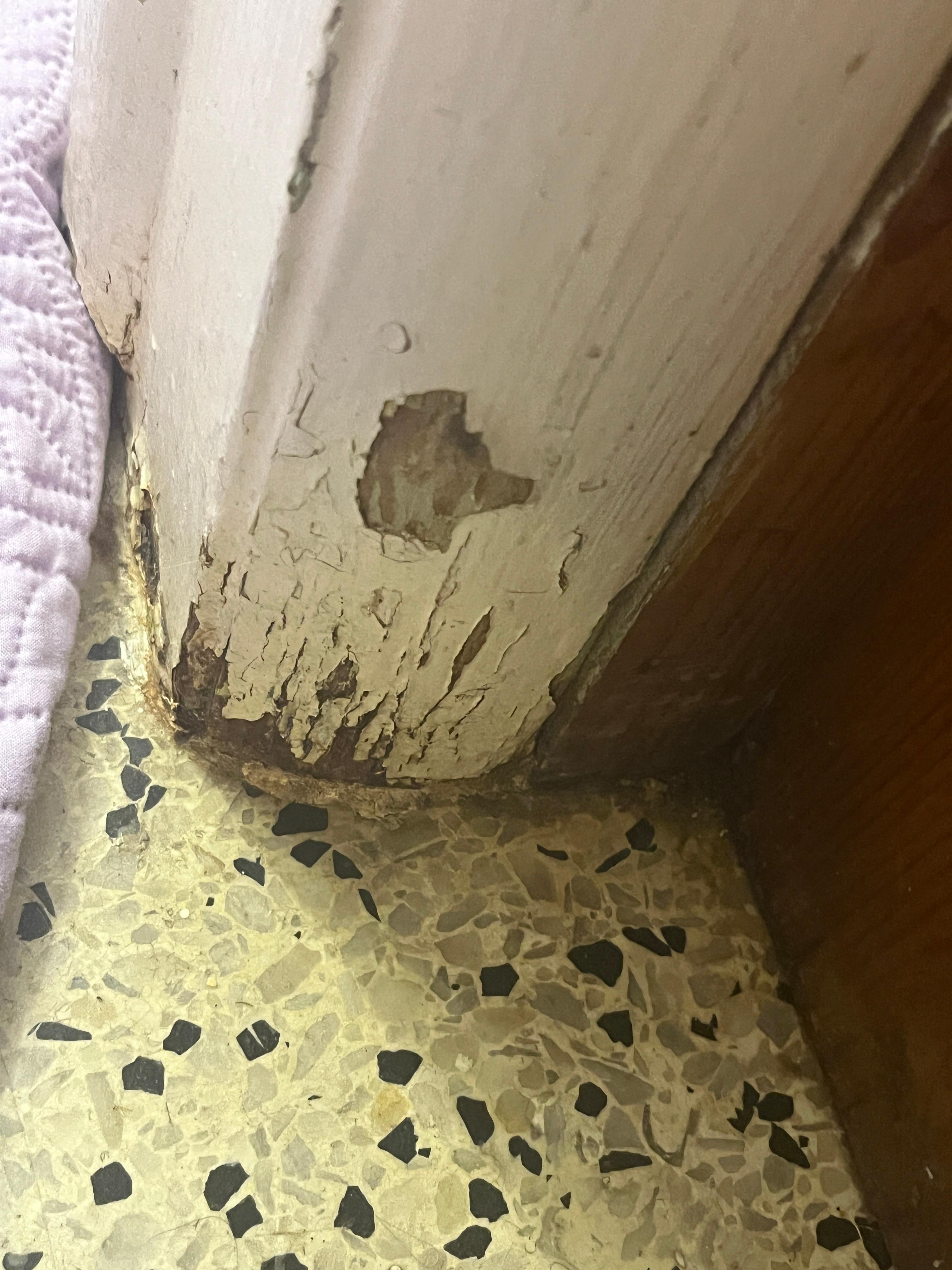 MOLD AND POOP!