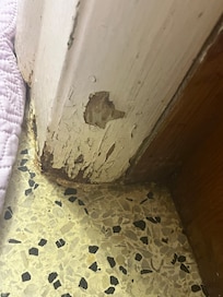 MOLD AND POOP!