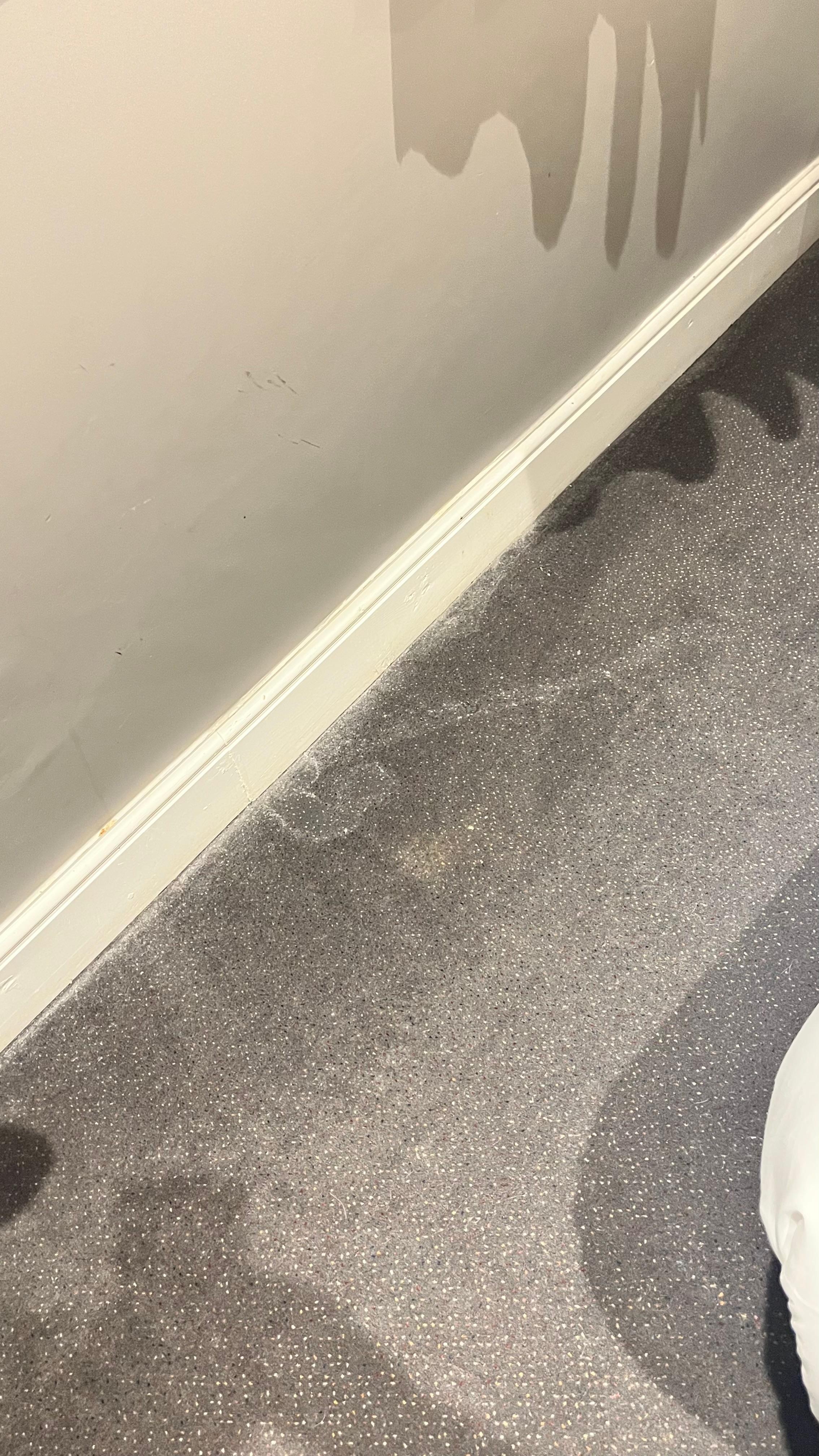 Stained / dirty carpet 