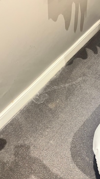 Stained / dirty carpet