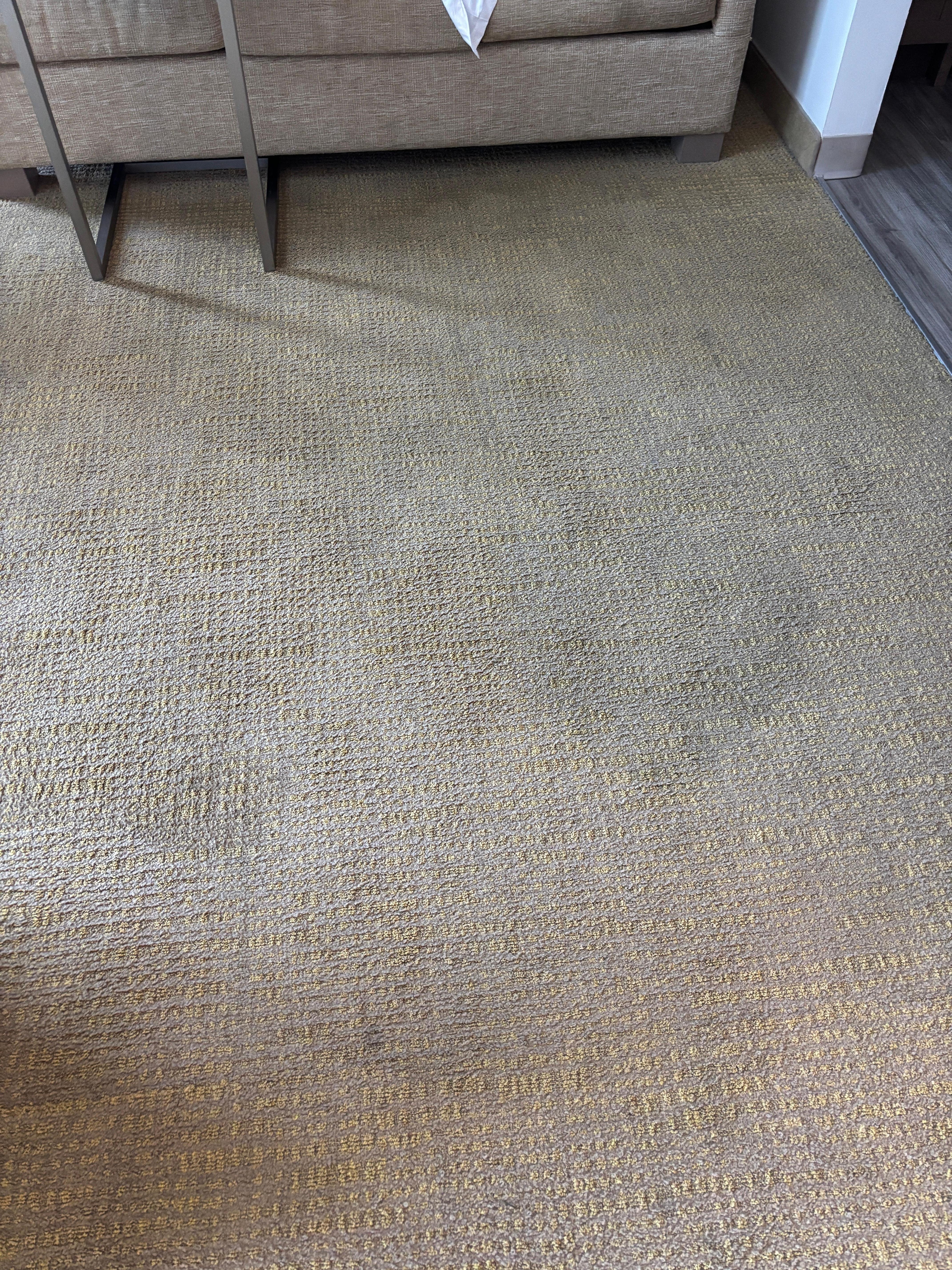 Filthy carpet