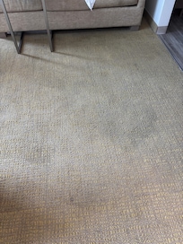 Filthy carpet