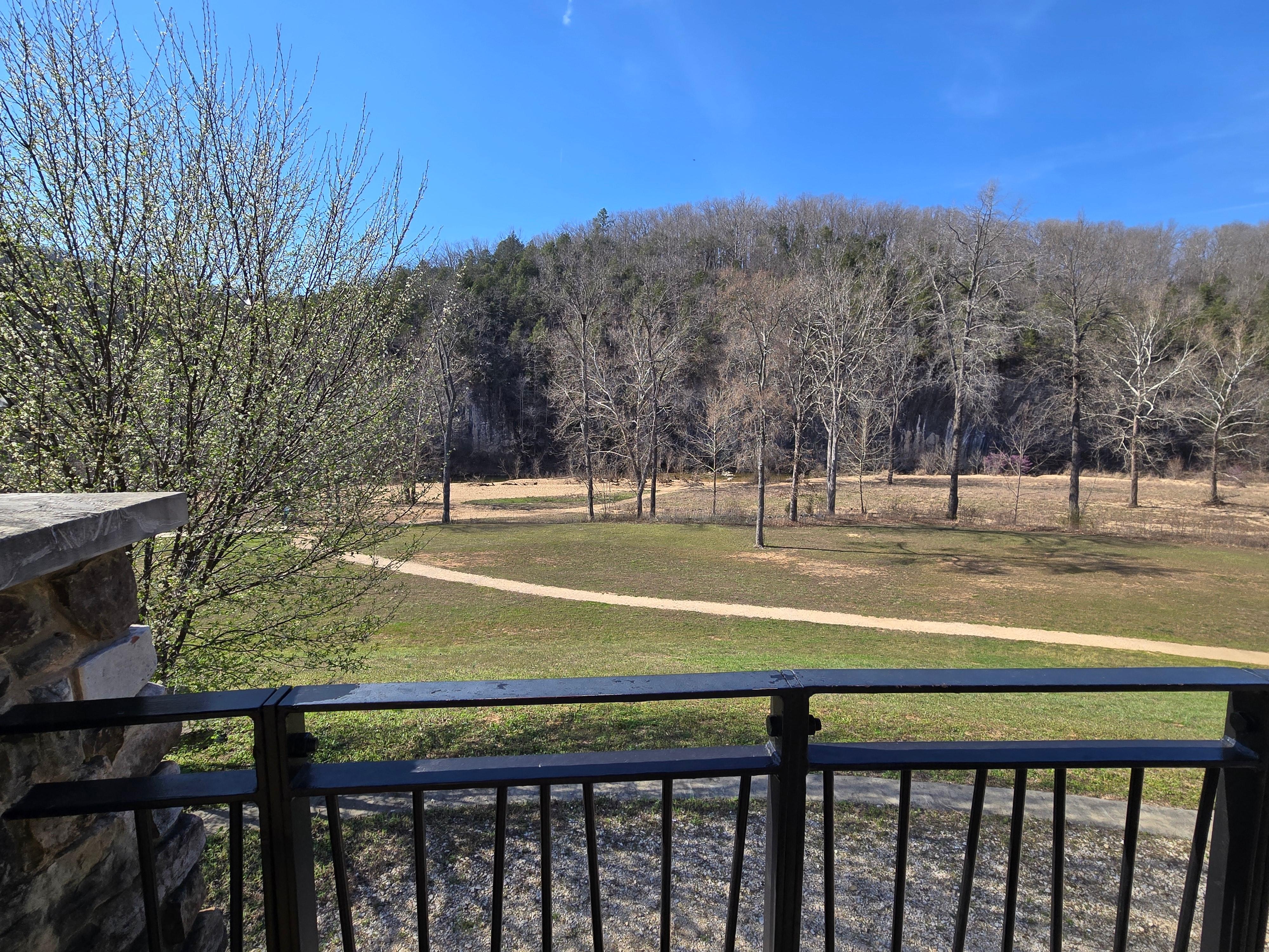 View from back porch 