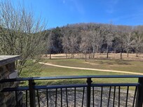 View from back porch
